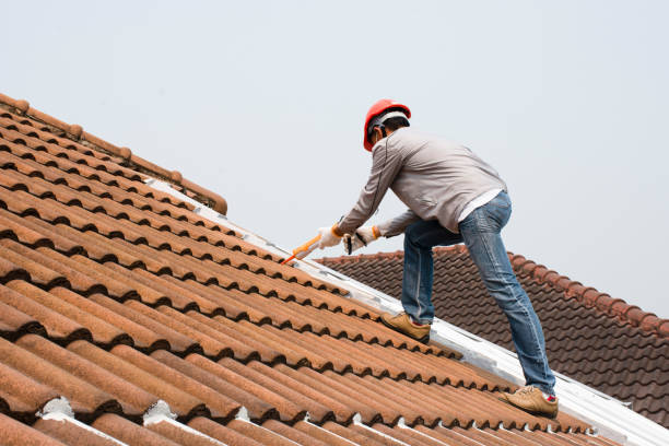 Best Roof Insulation Installation  in Logan, NM