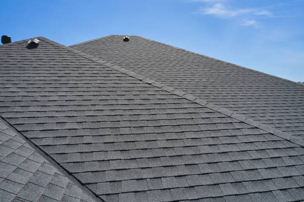 Best Roof Moss and Algae Removal  in Logan, NM