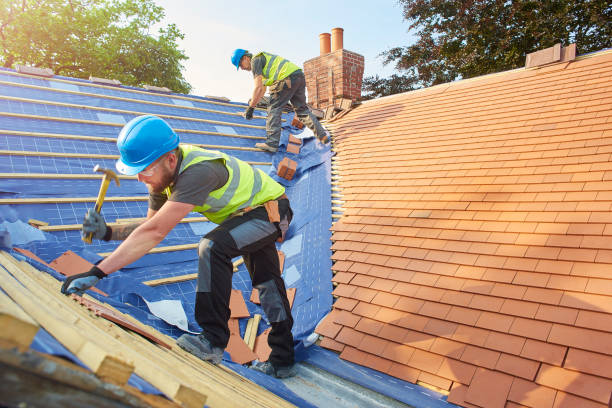 Best Rubber Roofing (EPDM, TPO)  in Logan, NM